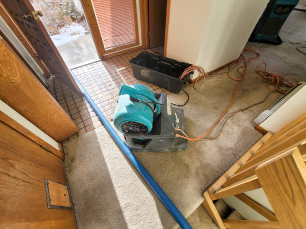 Best Basement water damage restoration  in Marlton, MD