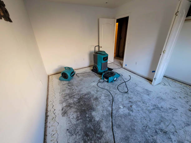 Best 24/7 water damage repair  in Marlton, MD