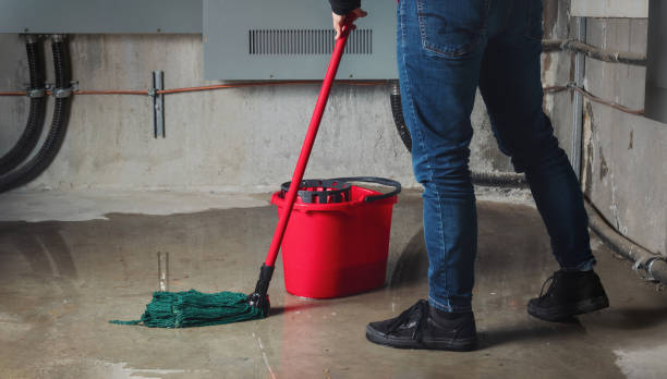 Best Water damage contractors near me  in Marlton, MD