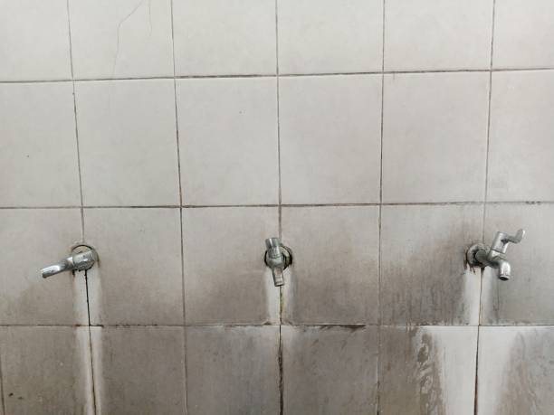 Best Water damage cleanup near me  in Marlton, MD