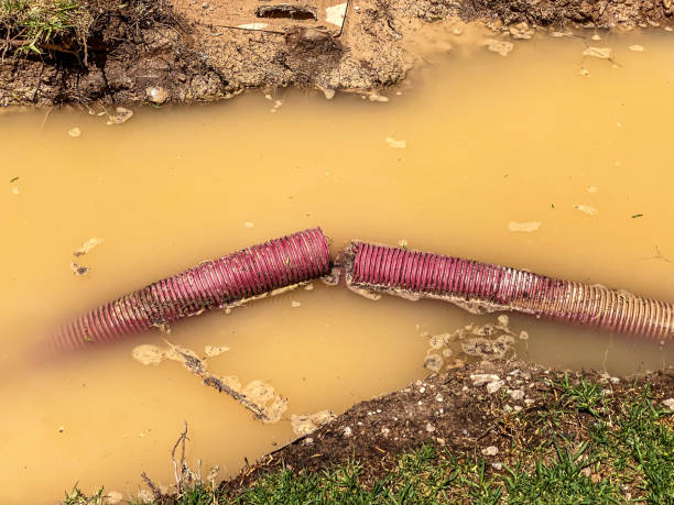 Best Local water damage restoration  in Marlton, MD
